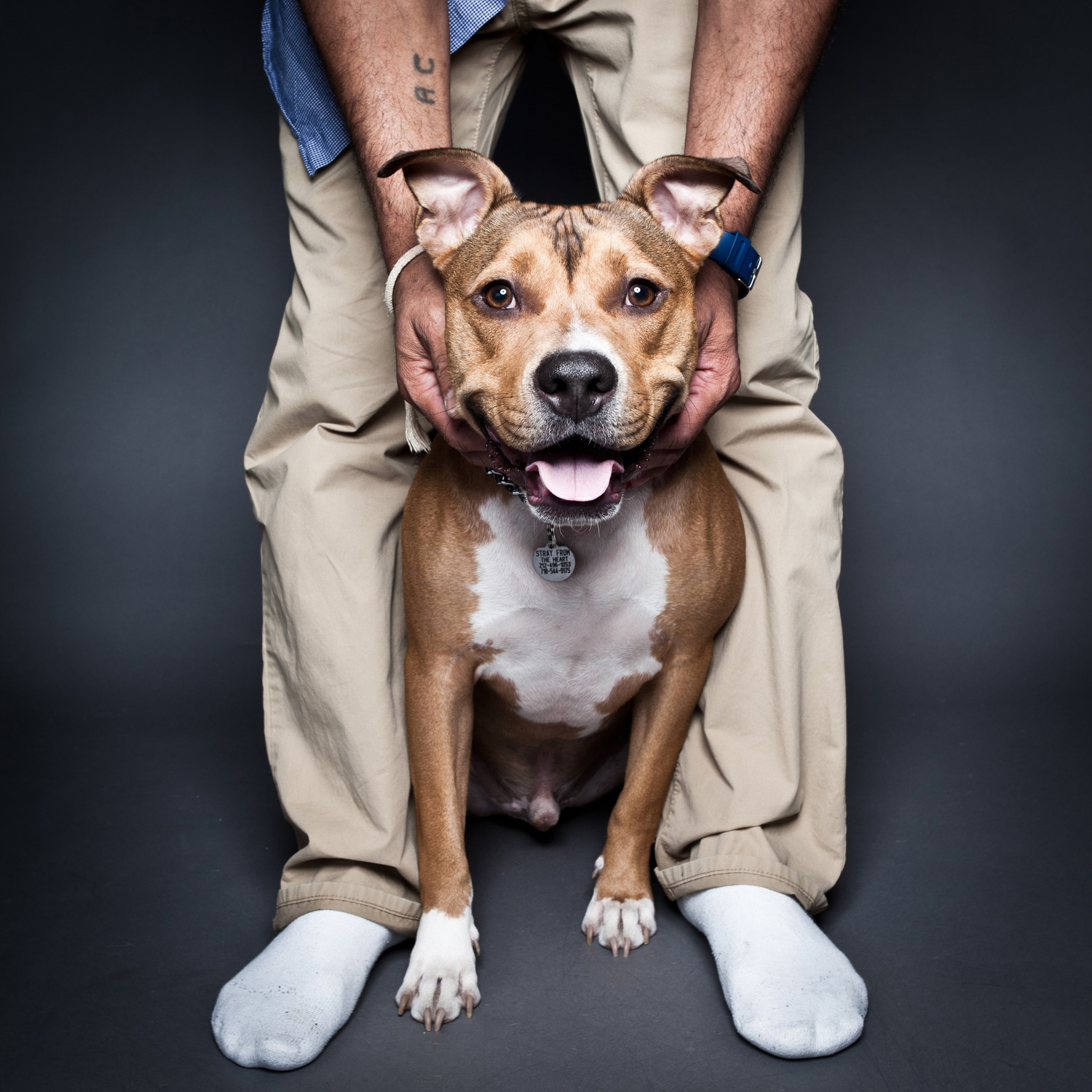 lorem ipsum dolor sit