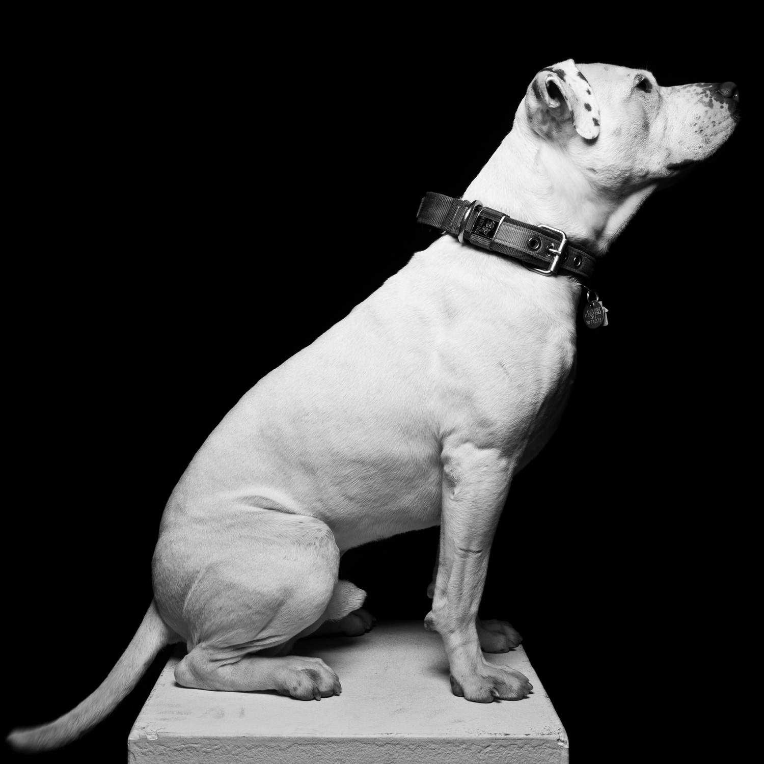 lorem ipsum dolor sit