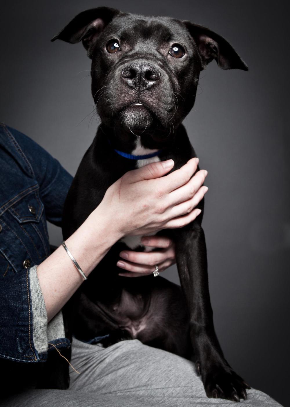 lorem ipsum dolor sit